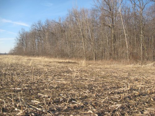 Property photo 18 - 44 Acres Offered in 3 Tracts